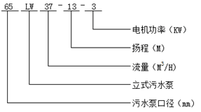 立式污水泵型號(hào)意義