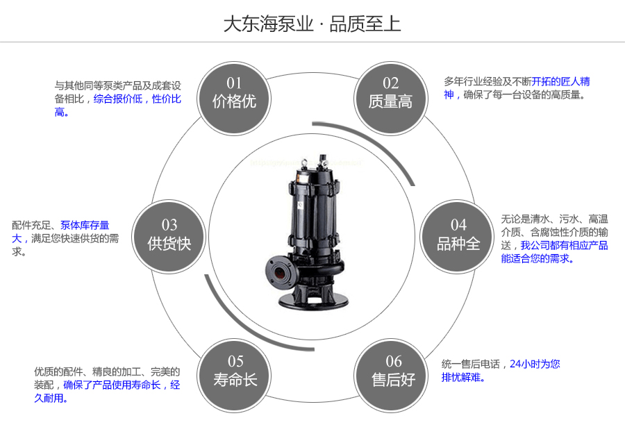 大東海泵業(yè)QW型潛水污水泵質(zhì)量保證圖